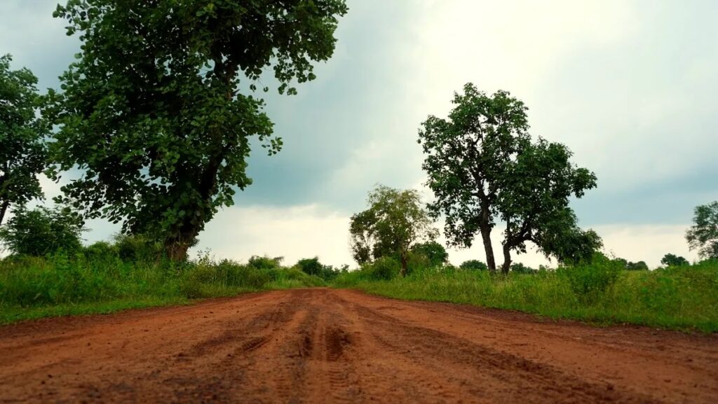 Kuno National Park safari guide