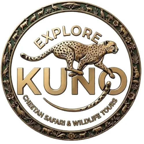 explore kuno company logo